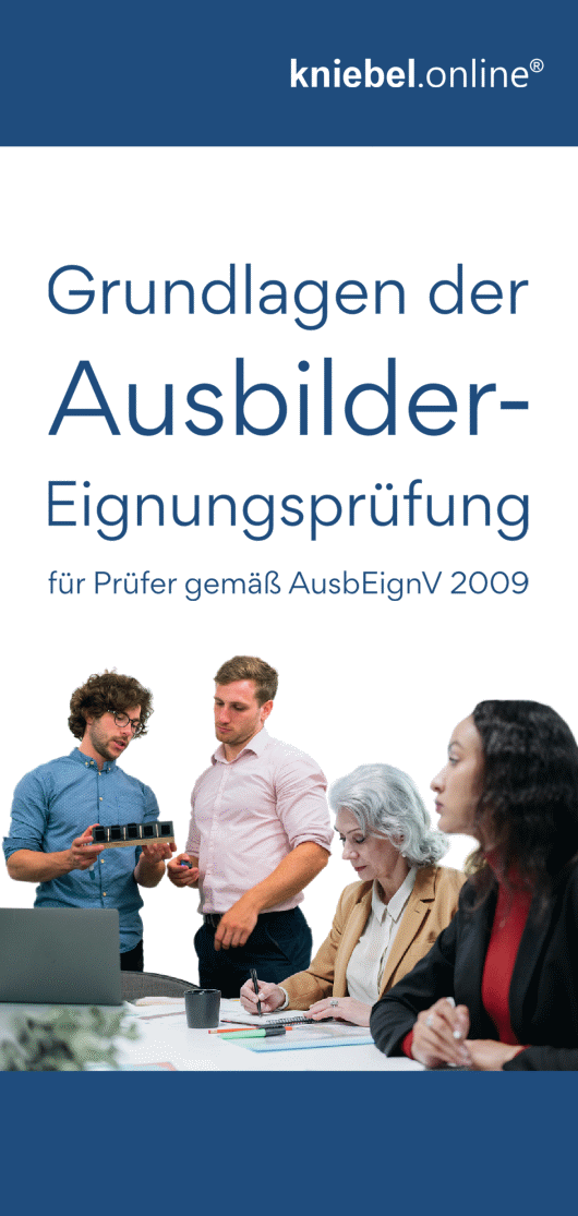 Flyer Prüferschulung AEVO