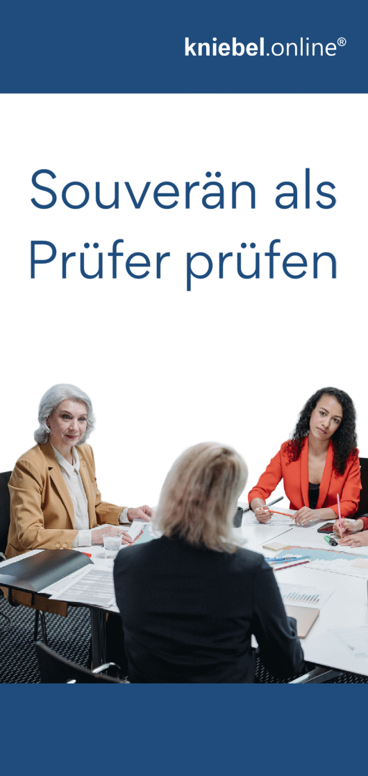 Flyer Souverän als Prüfer prüfen